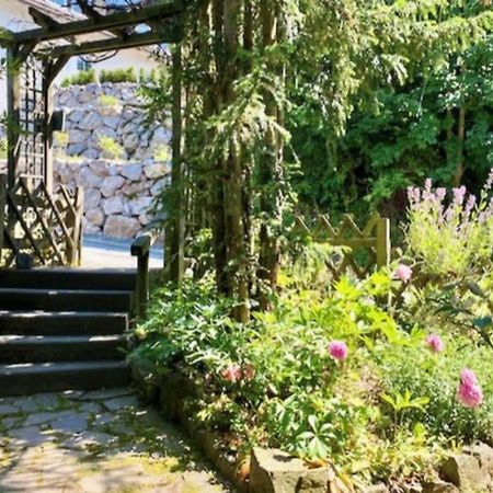 Waldseele Appartement Battenberg  Zewnętrze zdjęcie