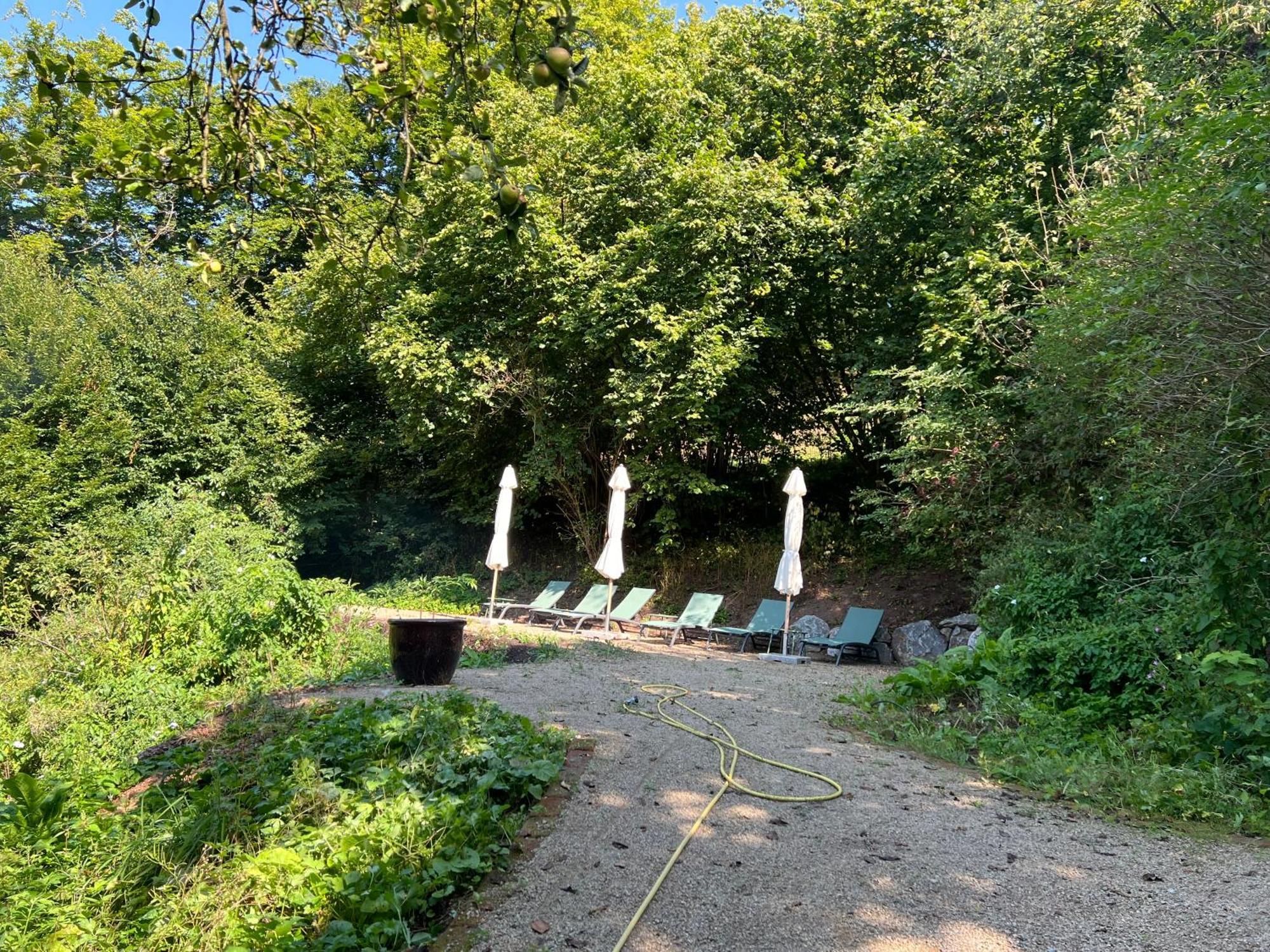 Waldseele Appartement Battenberg  Zewnętrze zdjęcie